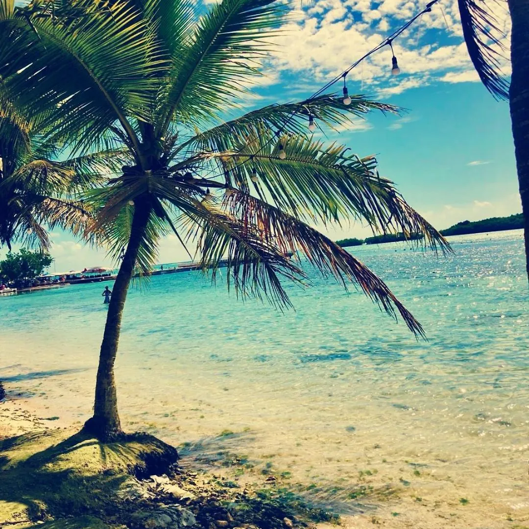 Cozy & Spacious Apartament Boca Chica Beach 0*,  Dominican Republic