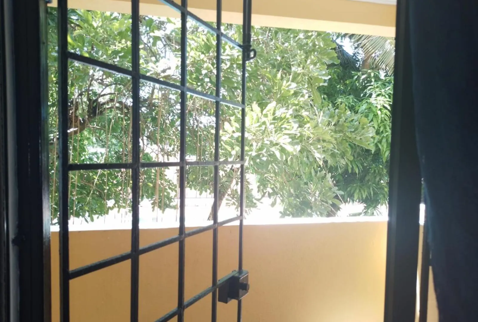 Cozy & Spacious Apartament Boca Chica Beach