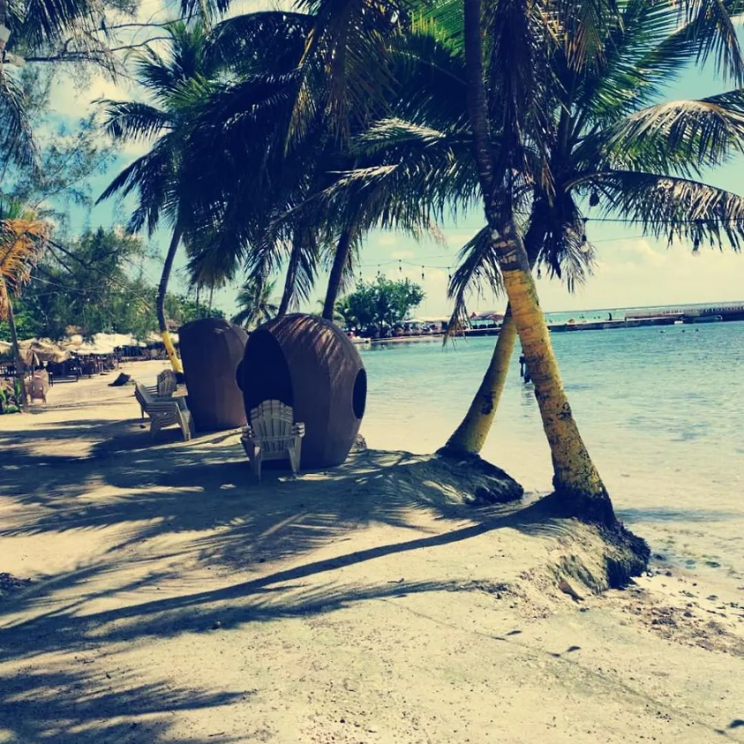 Cozy & Spacious Apartament Boca Chica Beach Apartment