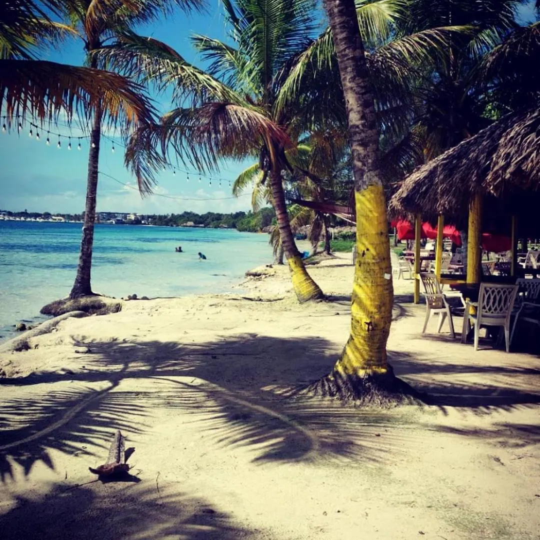 Apartment Cozy & Spacious Apartament Boca Chica Beach